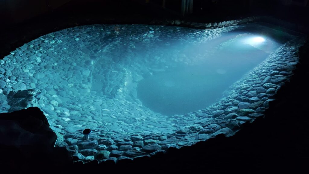 Bio Pool, Römerbad, Schwimmteich | Alpha Pool GmbH